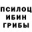 Псилоцибиновые грибы MAGIC MUSHROOMS KIT Factory