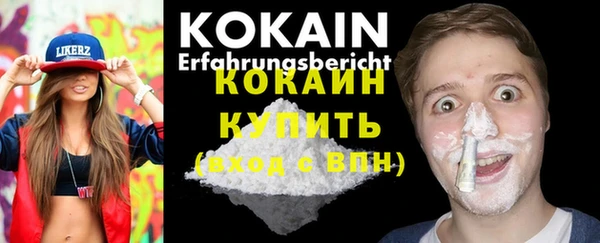 трава Богородицк