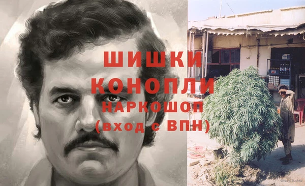 apvp Богданович
