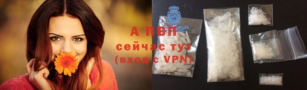 стафф Белокуриха
