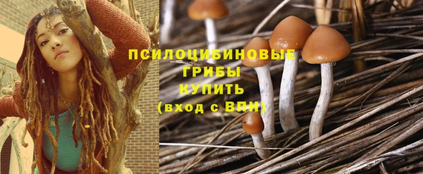 apvp Богданович