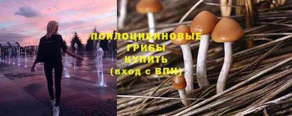 метадон Белоозёрский