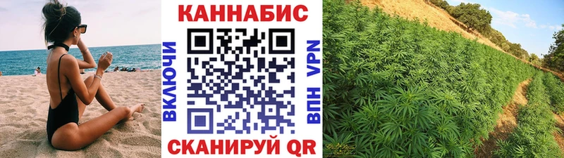 Канабис OG Kush  Володарск 